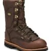 Irish Setter Elk Tracker Insulated Waterproof 12'' Boot