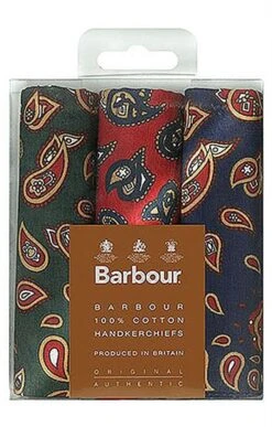 Barbour Paisley Handkerchiefs
