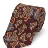 Large Paisley Silk Tie