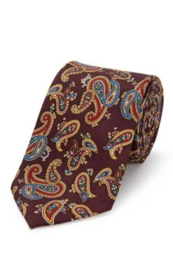 Large Paisley Silk Tie