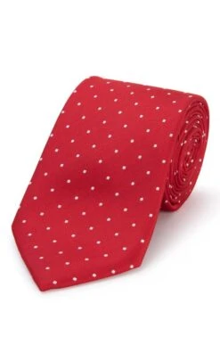 Small Polka Dot Woven Silk Tie