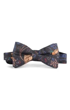Paisley Duck Silk Bow Tie