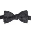 Men's Italian Printed Wool Paisley Bow Tie