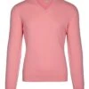 Men's 2 Ply Cashmere V Neck